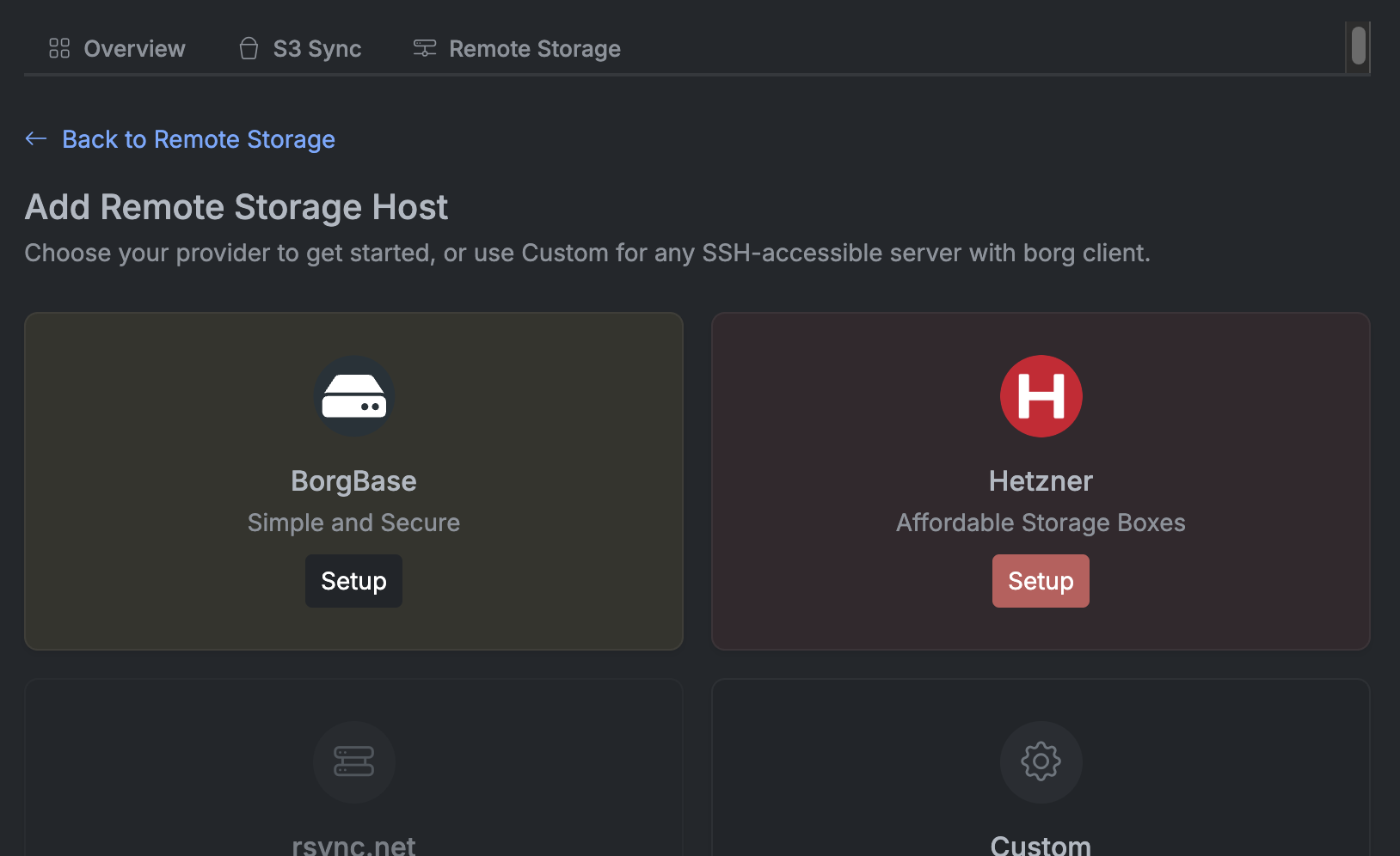 Borg Backup Server Remote Storage provider selection showing Hetzner option
