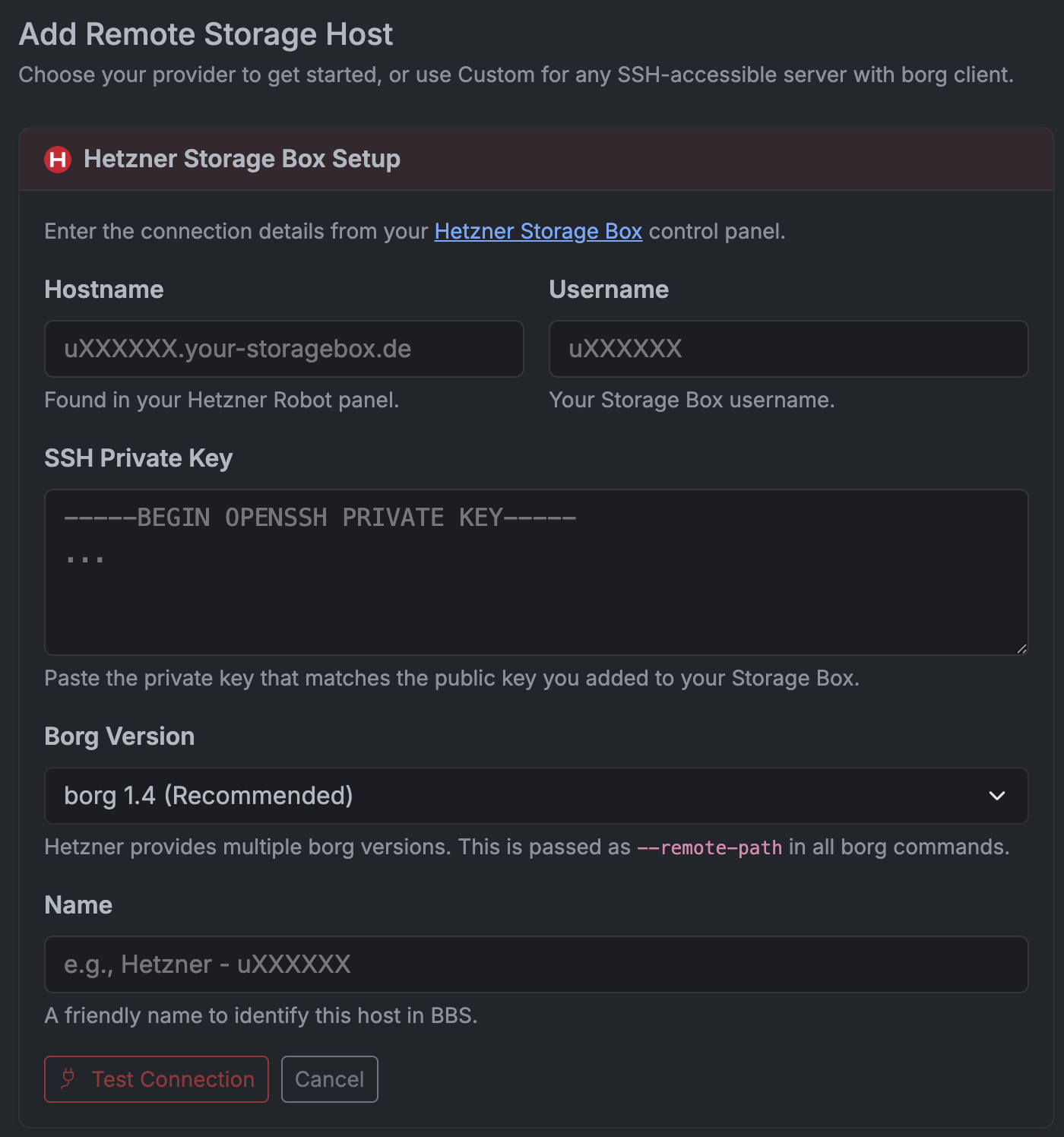 Borg Backup Server Hetzner Storage Box Setup form with hostname, username, SSH key, borg version, and test connection