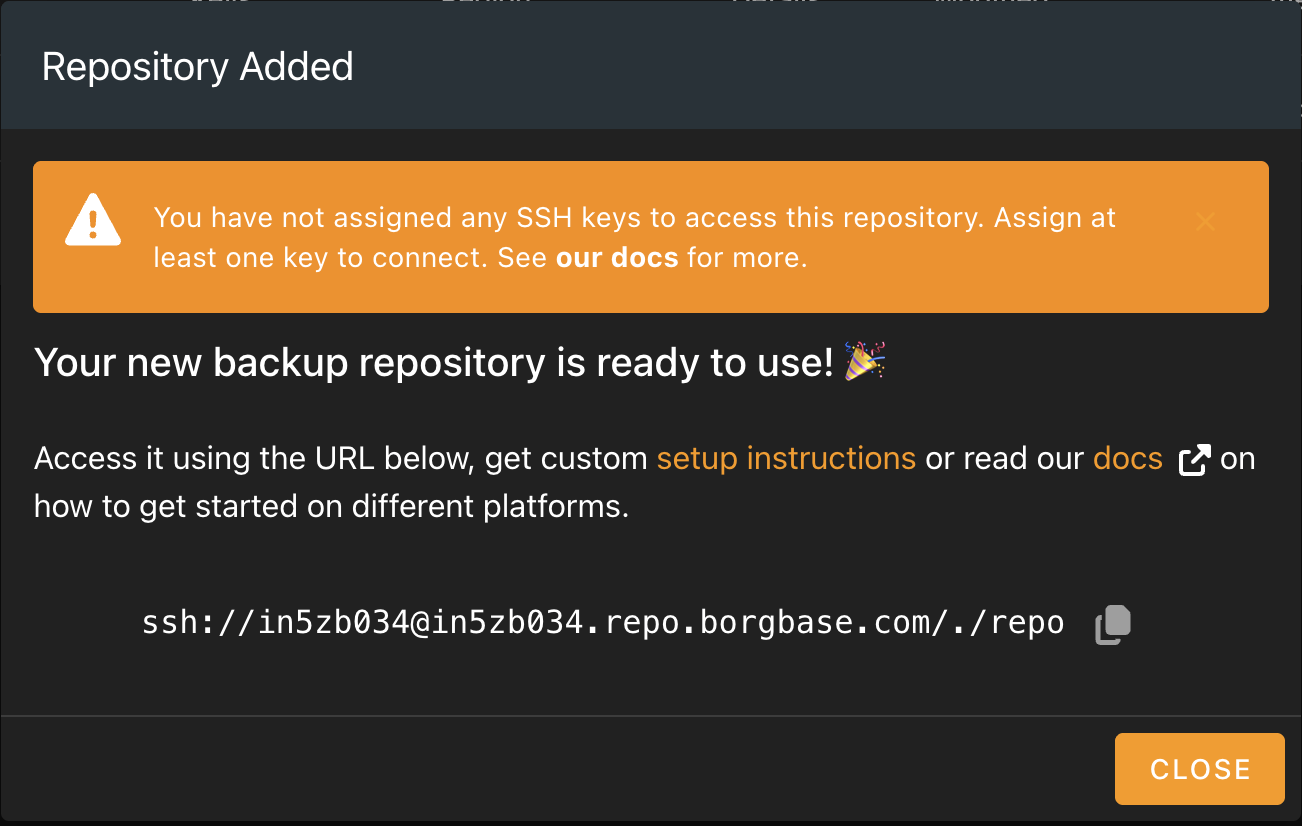 BorgBase Repository Added confirmation showing the SSH connection URL