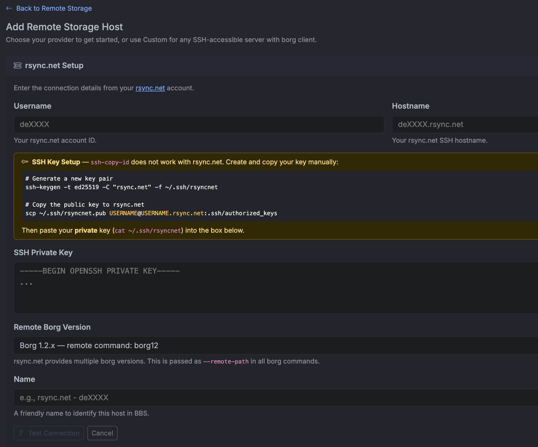 Borg Backup Server rsync.net Setup form with username, hostname, SSH key, borg version, and test connection