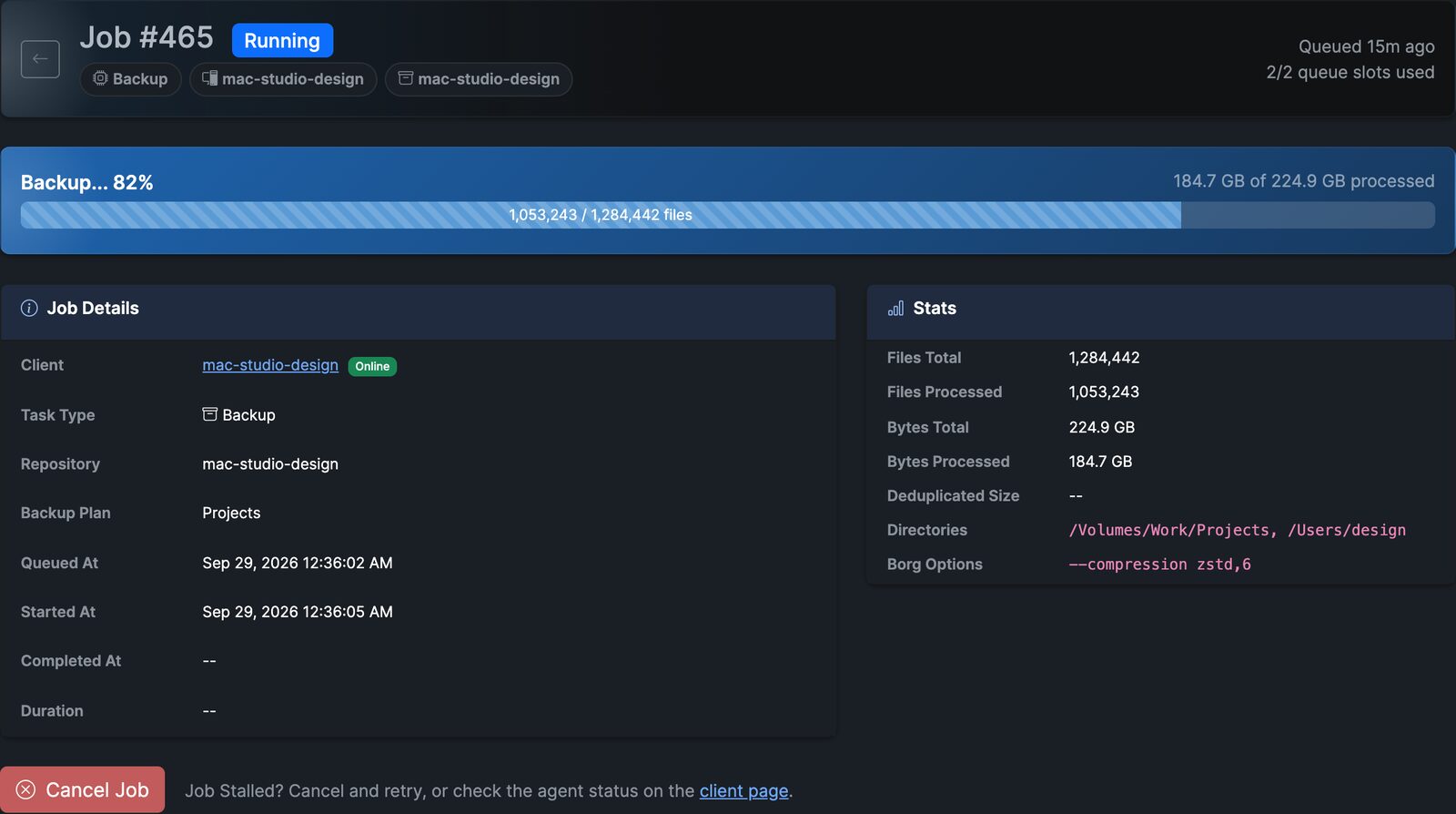 A running Borg backup job with progress, transfer rate and files processed